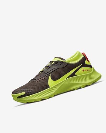 Nike Pegasus Trail 3 GORE-TEX Chocolate Oscuro Rojos Claro | MX 2592
